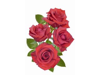 四季花店的照片