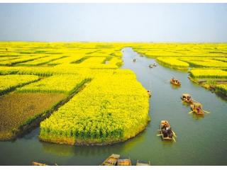 中国国旅(双流路营业部)的照片