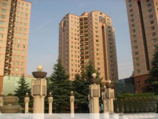 美丽华花园的照片