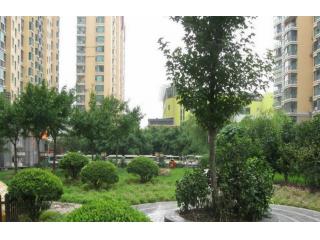 阳光西班牙的照片