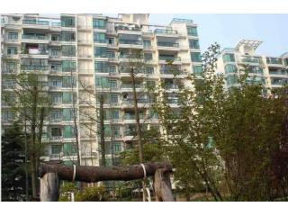 上海豪园的照片