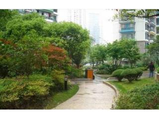 君子兰公寓的照片