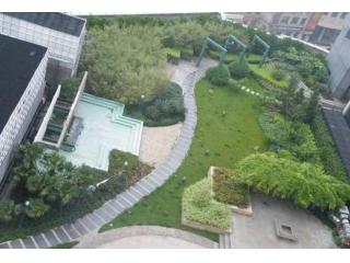 蓝朝部落的照片