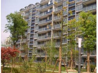 绿翡翠家园的照片