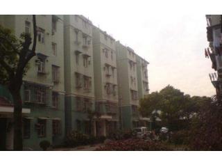 绿翡翠家园的照片