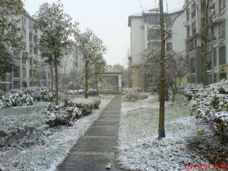 夏朵小城的照片