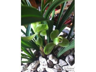 迪曼瑜伽的照片